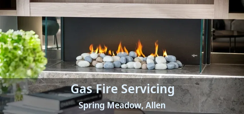 Gas Fire Servicing Spring Meadow, Allen - TX