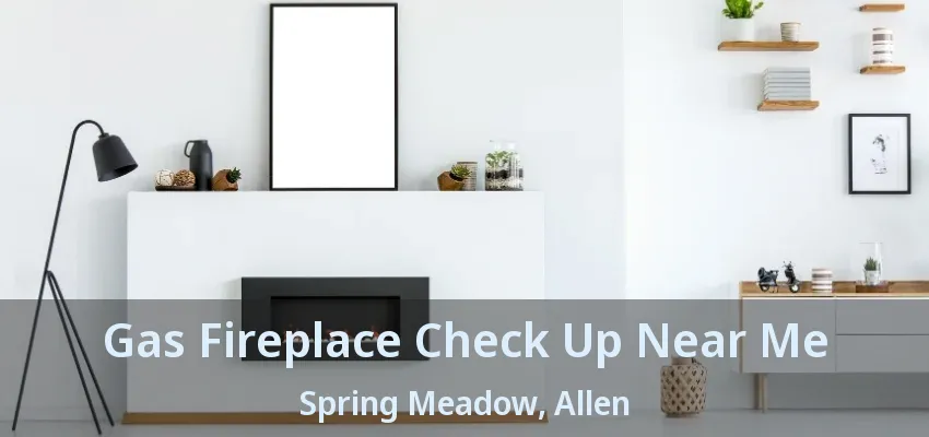 Gas Fireplace Check Up Near Me Spring Meadow, Allen - TX