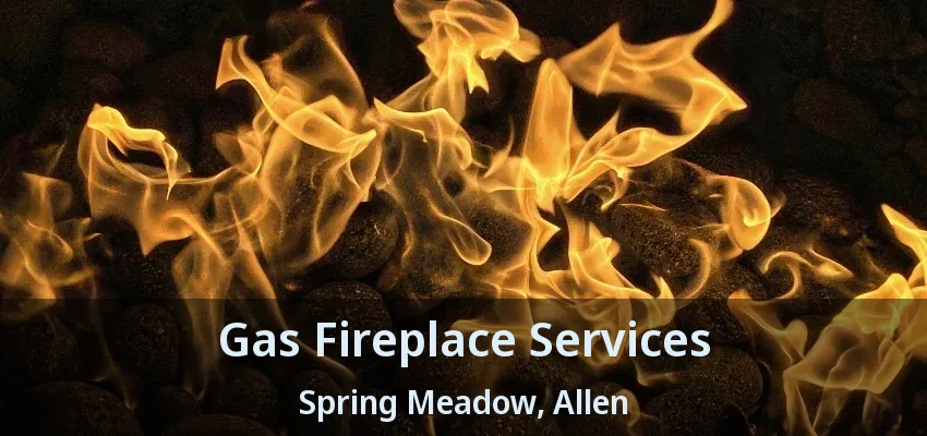 Gas Fireplace Services Spring Meadow, Allen - TX