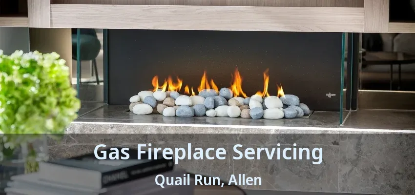 Gas Fireplace Servicing Quail Run, Allen - TX