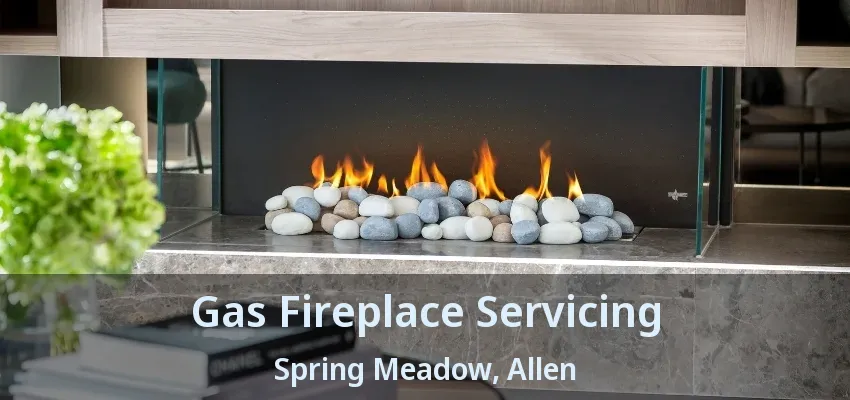 Gas Fireplace Servicing Spring Meadow, Allen - TX