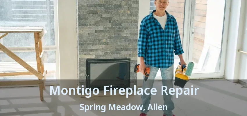 Montigo Fireplace Repair Spring Meadow, Allen - TX