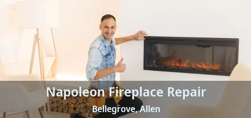 Napoleon Fireplace Repair Bellegrove, Allen - TX