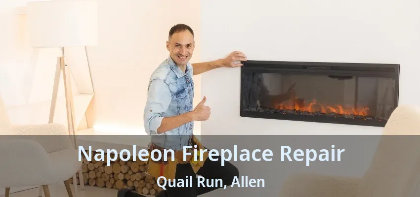 Napoleon Fireplace Repair Quail Run, Allen - TX