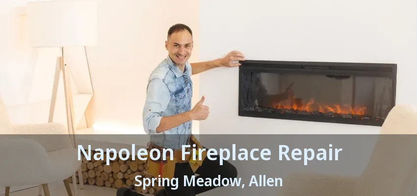 Napoleon Fireplace Repair Spring Meadow, Allen - TX