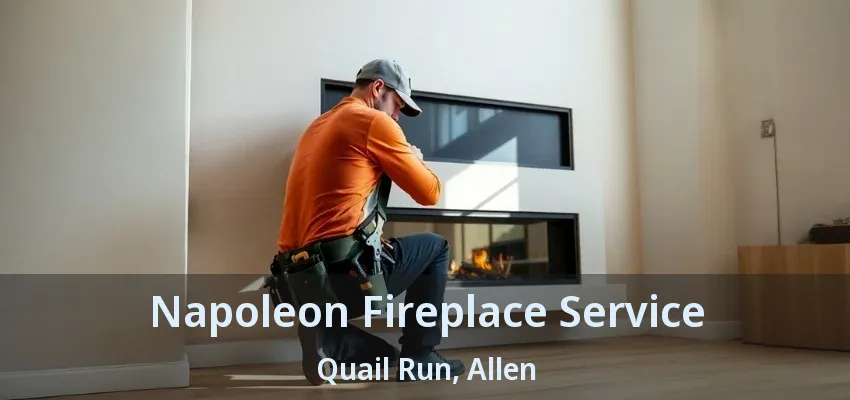 Napoleon Fireplace Service Quail Run, Allen - TX