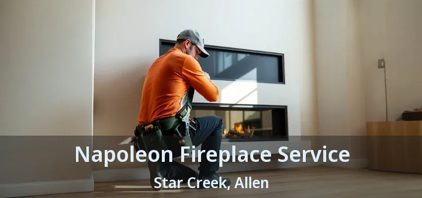 Napoleon Fireplace Service Star Creek, Allen - TX