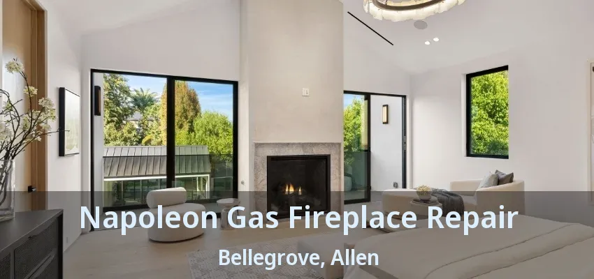 Napoleon Gas Fireplace Repair Bellegrove, Allen - TX