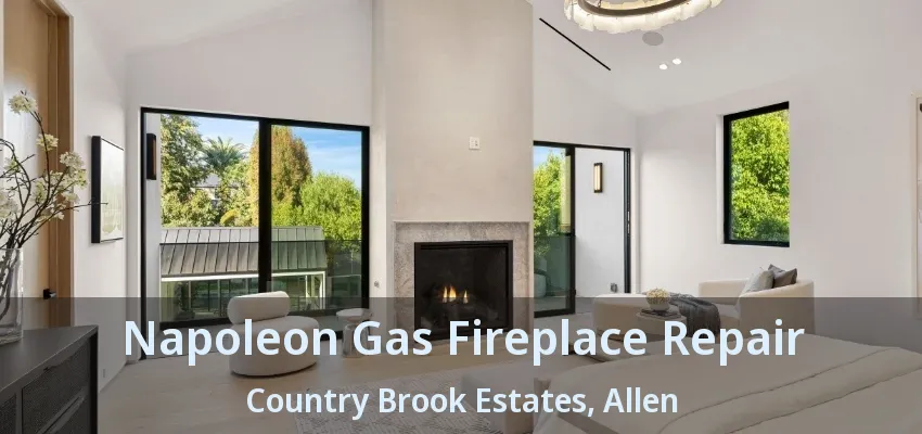 Napoleon Gas Fireplace Repair Country Brook Estates, Allen - TX