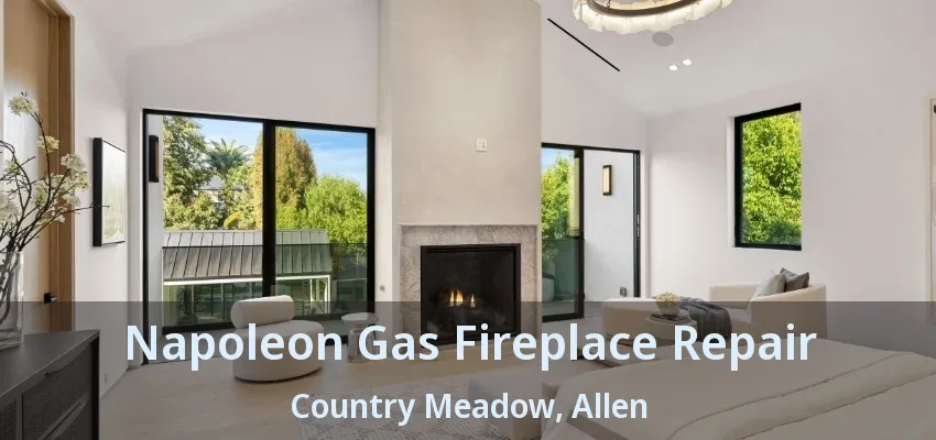 Napoleon Gas Fireplace Repair Country Meadow, Allen - TX
