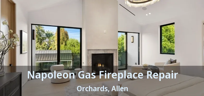 Napoleon Gas Fireplace Repair Orchards, Allen - TX