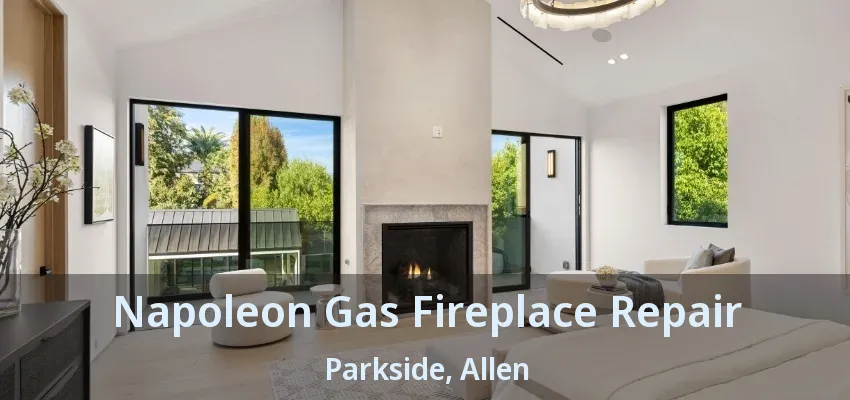 Napoleon Gas Fireplace Repair Parkside, Allen - TX