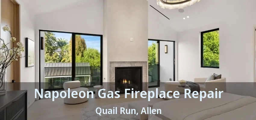 Napoleon Gas Fireplace Repair Quail Run, Allen - TX
