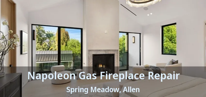 Napoleon Gas Fireplace Repair Spring Meadow, Allen - TX
