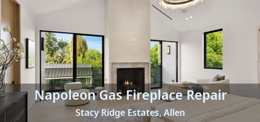 Napoleon Gas Fireplace Repair Stacy Ridge Estates, Allen - TX
