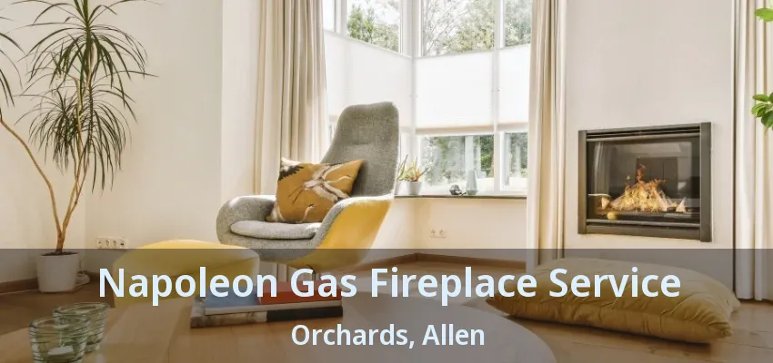 Napoleon Gas Fireplace Service Orchards, Allen - TX