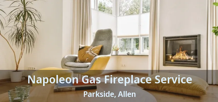 Napoleon Gas Fireplace Service Parkside, Allen - TX