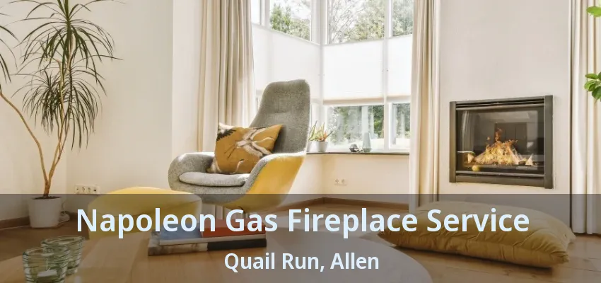 Napoleon Gas Fireplace Service Quail Run, Allen - TX