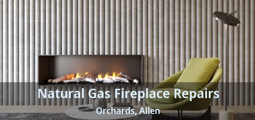 Natural Gas Fireplace Repairs Orchards, Allen - TX