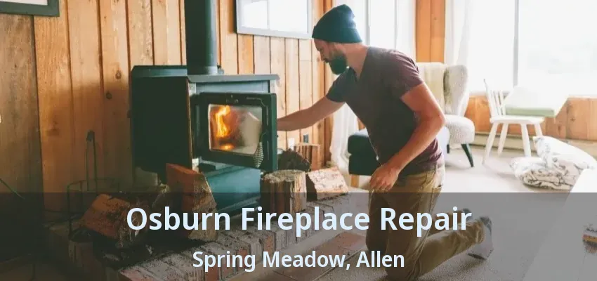 Osburn Fireplace Repair Spring Meadow, Allen - TX