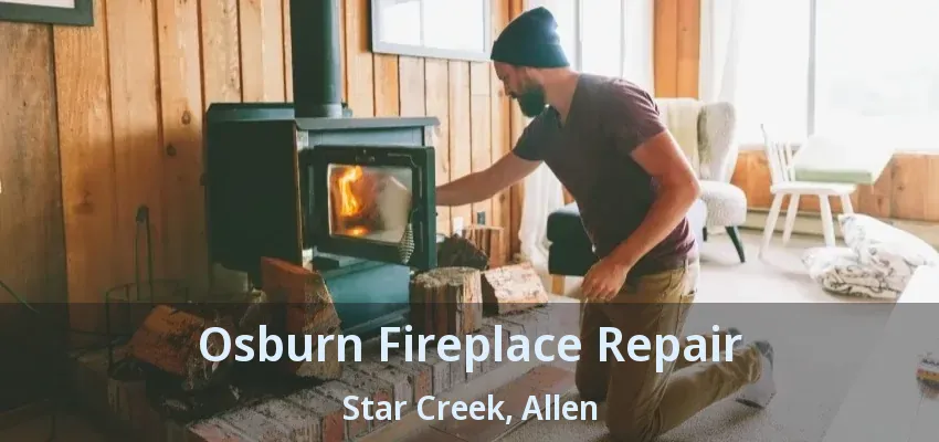 Osburn Fireplace Repair Star Creek, Allen - TX