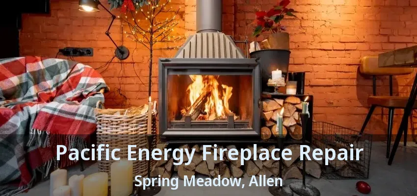 Pacific Energy Fireplace Repair Spring Meadow, Allen - TX