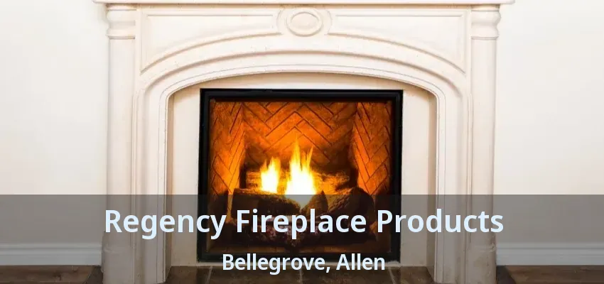 Regency Fireplace Products Bellegrove, Allen - TX