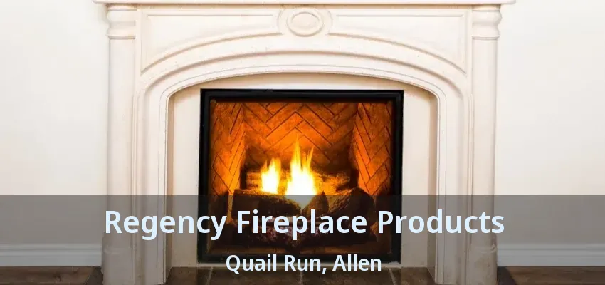 Regency Fireplace Products Quail Run, Allen - TX