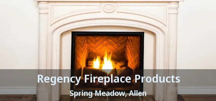 Regency Fireplace Products Spring Meadow, Allen - TX