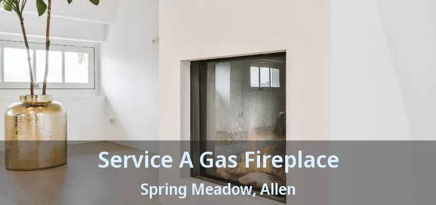 Service A Gas Fireplace Spring Meadow, Allen - TX