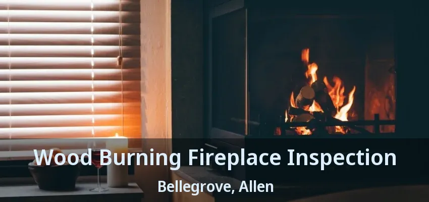 Wood Burning Fireplace Inspection Bellegrove, Allen - TX