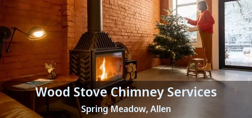 Wood Stove Chimney Services Spring Meadow, Allen - TX