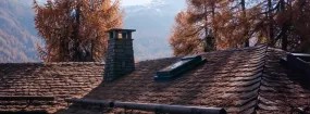 Chimney Animal Removal Allen