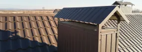 Chimney Cap Services Allen