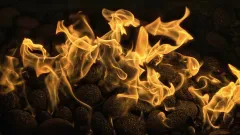 Fireplace Cleaning Service Allen