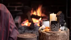 Fireplace Inspection Allen