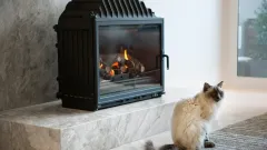 Wood Burning Fireplace Repair Allen