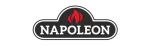 Napoleon Enviro Fireplace Repair in Allen