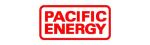 Pacific Energy Enviro Fireplace Repair in Allen
